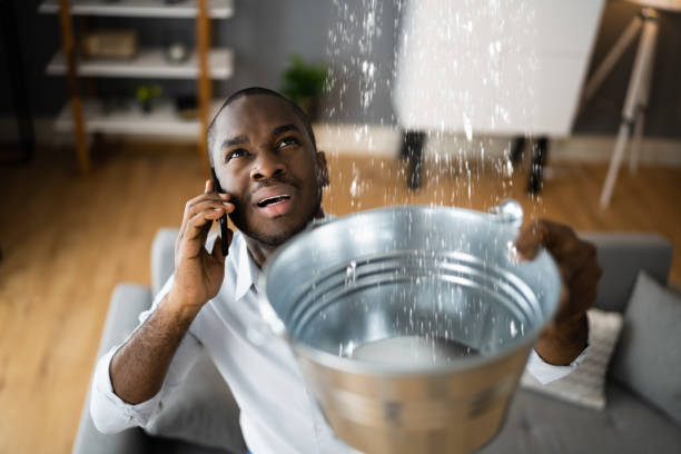 Best Mold removal after water damage  in Mauriceville, TX