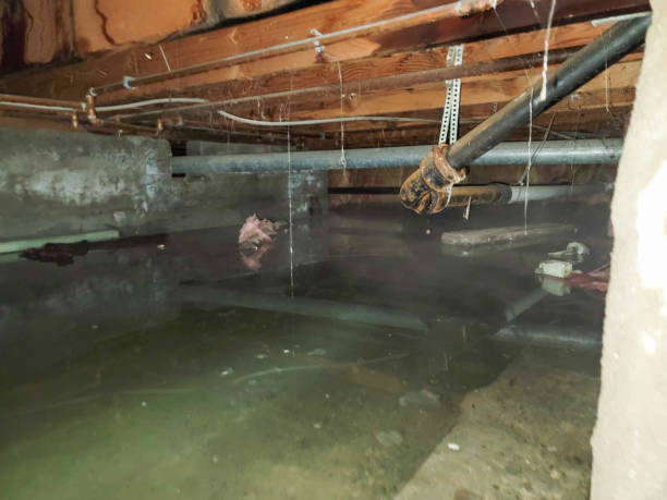 Best Commercial water damage restoration  in Mauriceville, TX