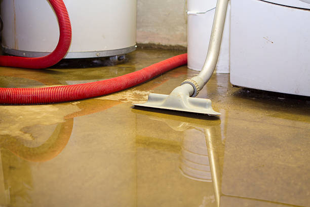 Best Flood damage cleanup  in Mauriceville, TX