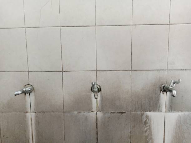 Best Carpet water damage restoration  in Mauriceville, TX