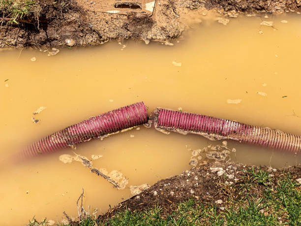 Best Water damage restoration company  in Mauriceville, TX