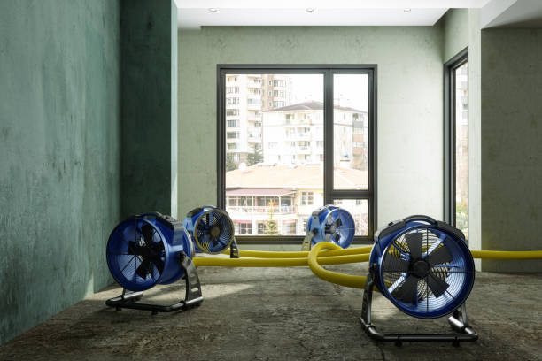 Best 24-hour water damage restoration  in Mauriceville, TX