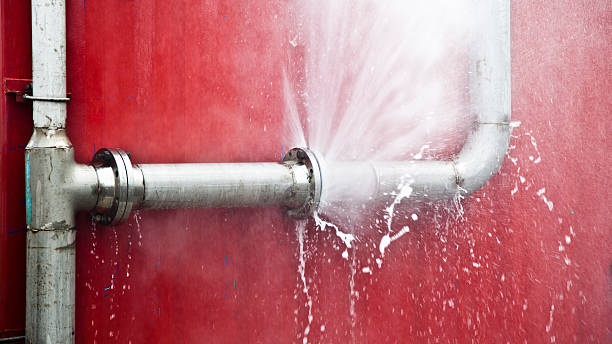 Best Local water damage restoration  in Mauriceville, TX